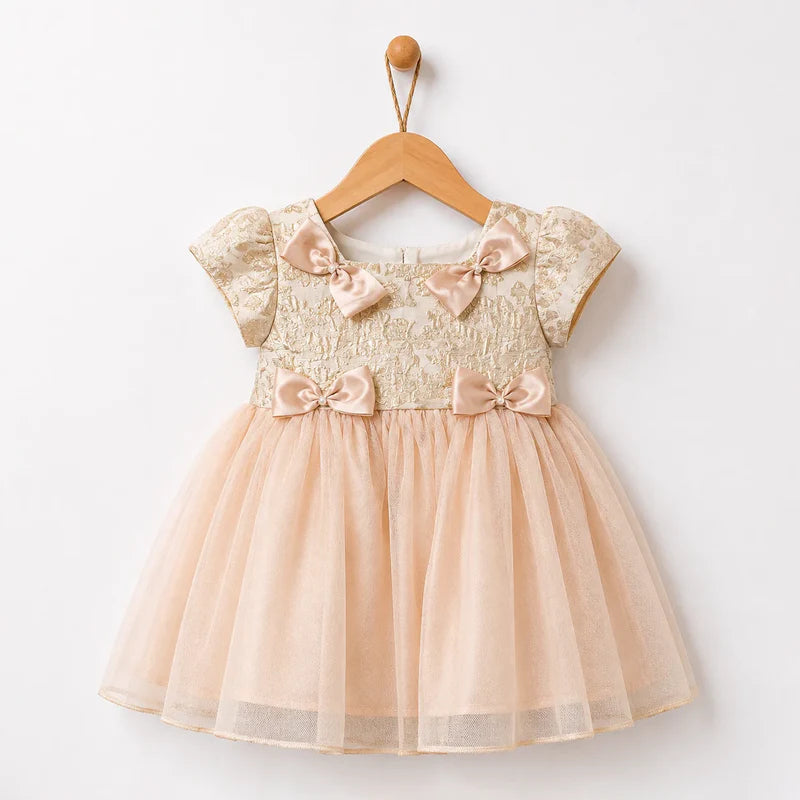 Baby Girl Skin embroidered net frock